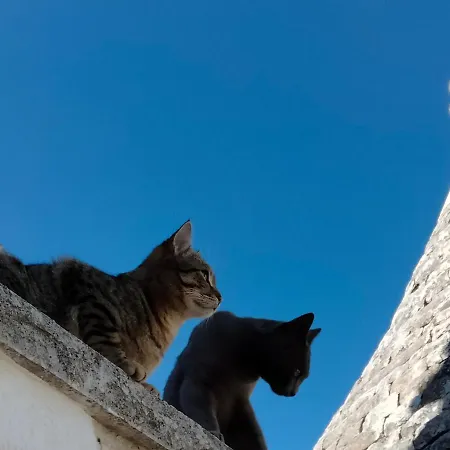 Il Trullo Del Nonno A Hébergement de vacances
