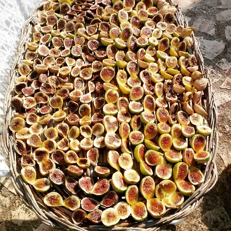 Hébergement de vacances Il Trullo Del Nonno A