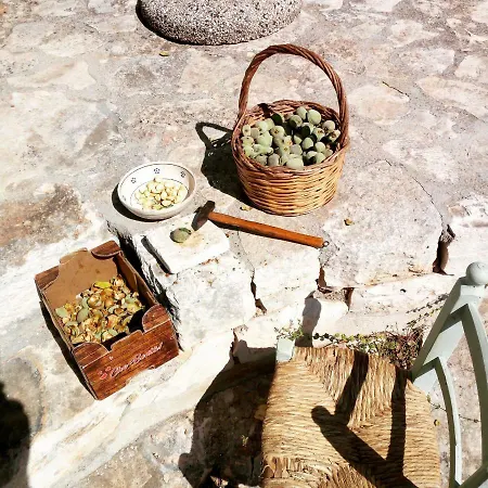 Il Trullo Del Nonno A Hébergement de vacances Cisternino