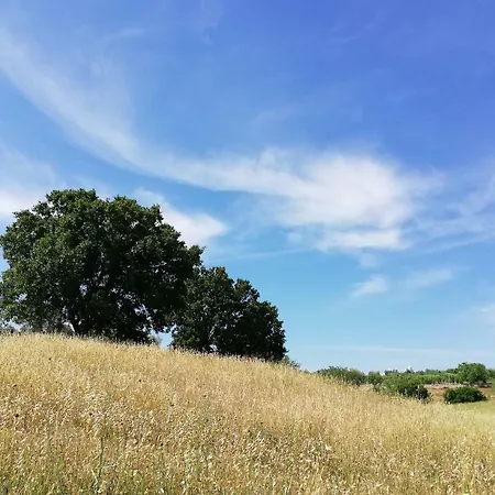 Il Trullo Del Nonno A Hébergement de vacances Cisternino