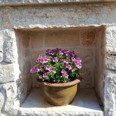 Il Trullo Del Nonno A * Cisternino